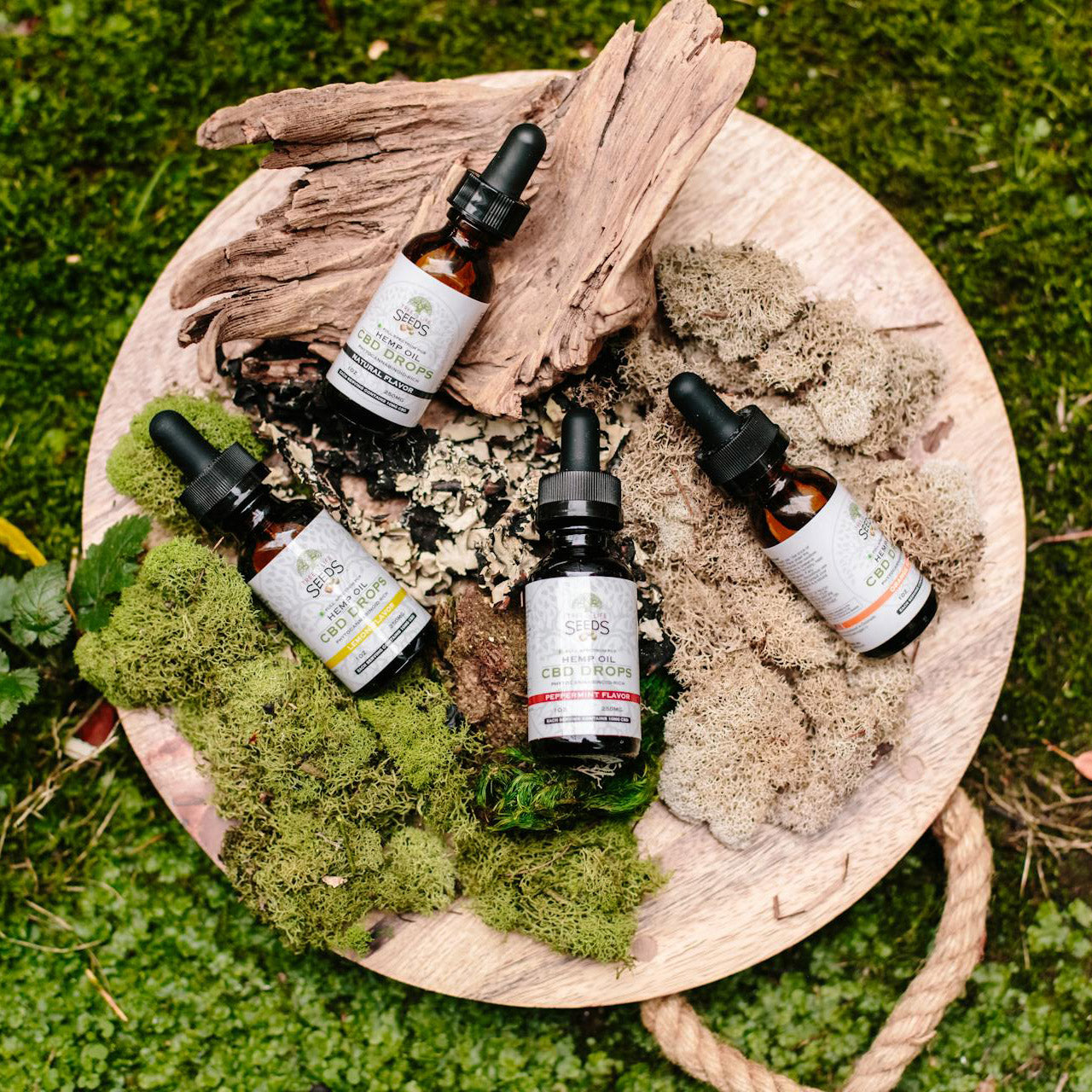 All Wellness Essentials