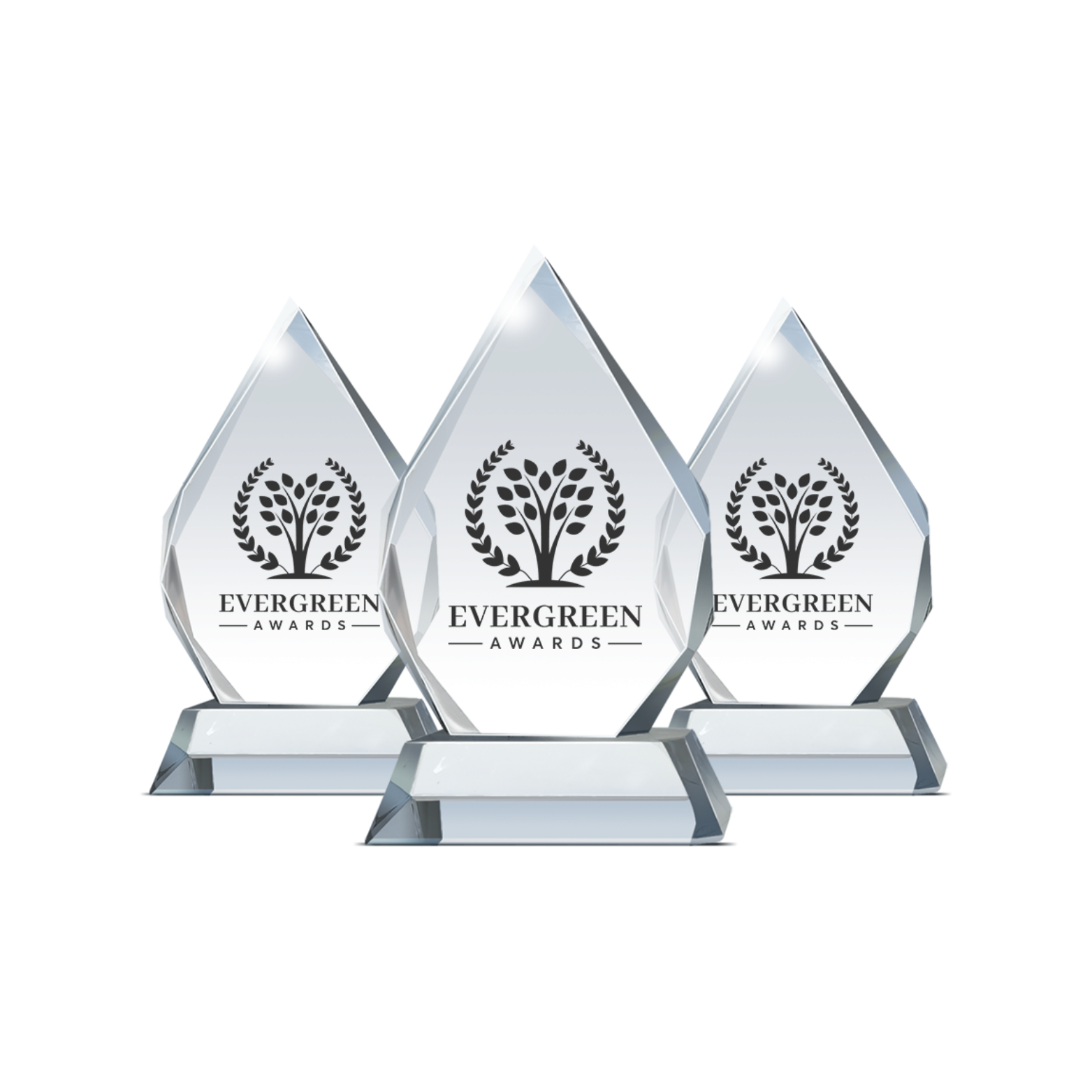 Vayb Wellness Wins 2025 EverGreen Award: Best Wellness Tech Brand for Sleep Solutions in the US