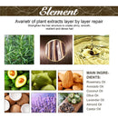 Vayb Rosemary Hair Oil for Hair Growth and Damage Repair